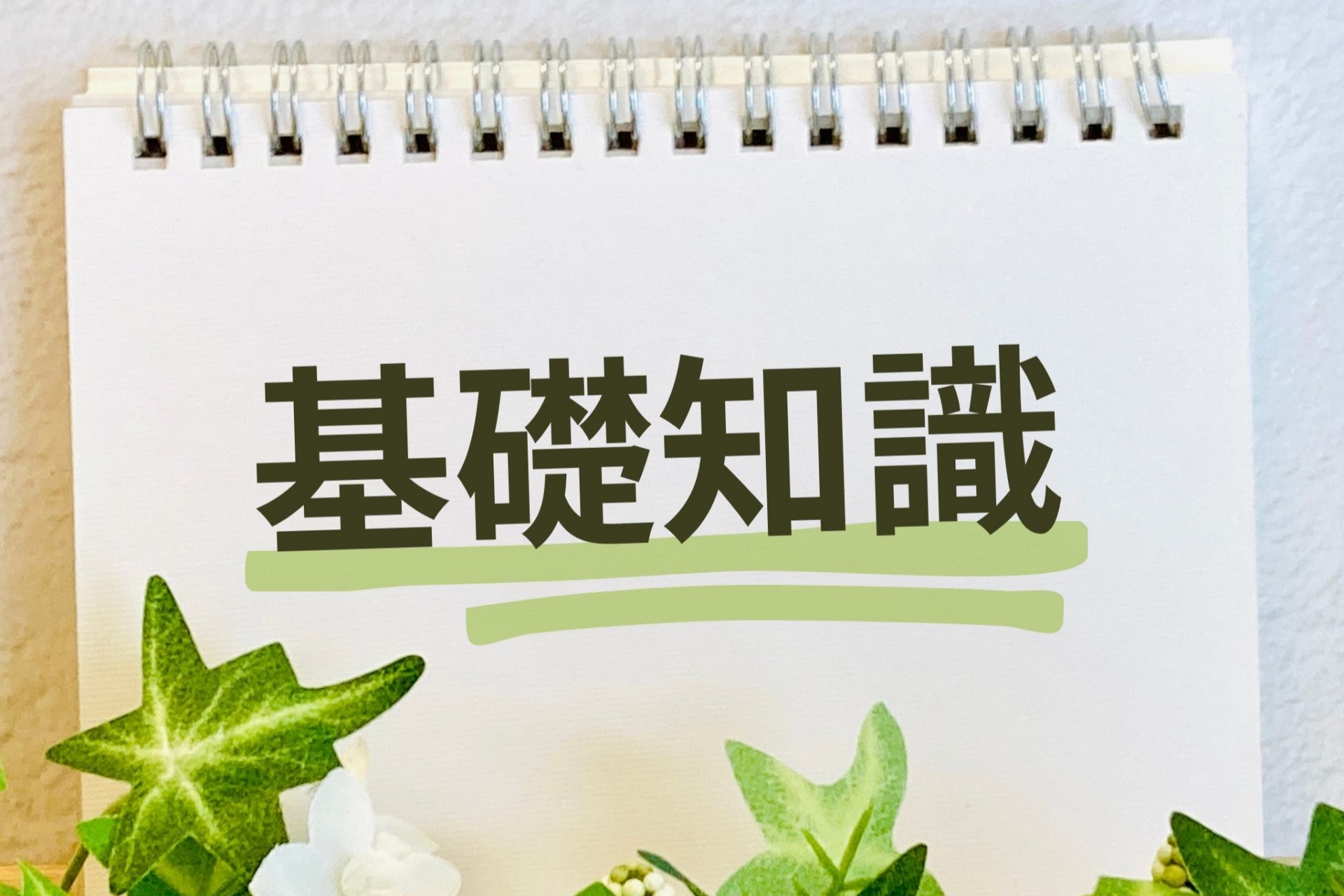 基礎知識